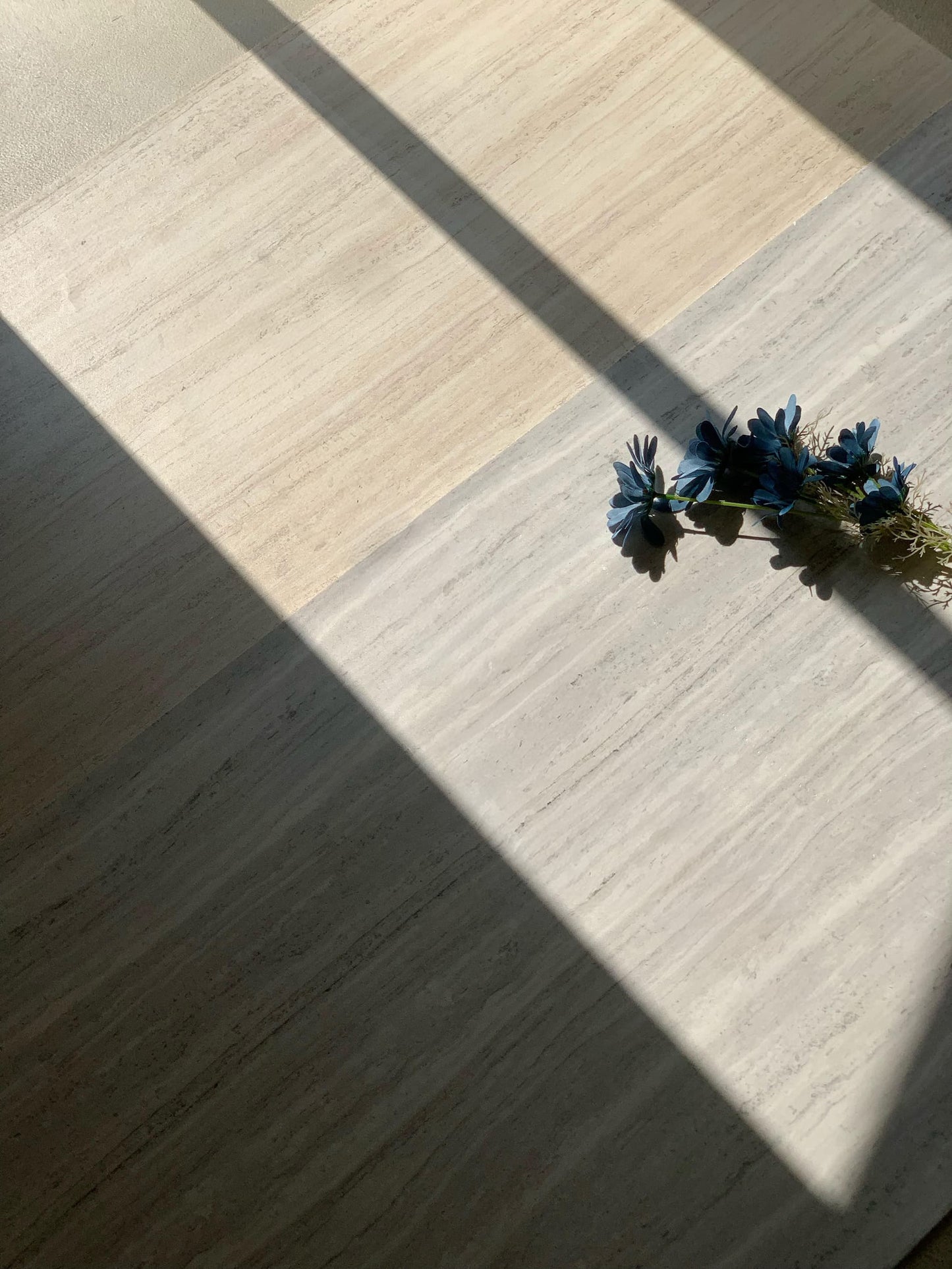 Italian Wood Travertine