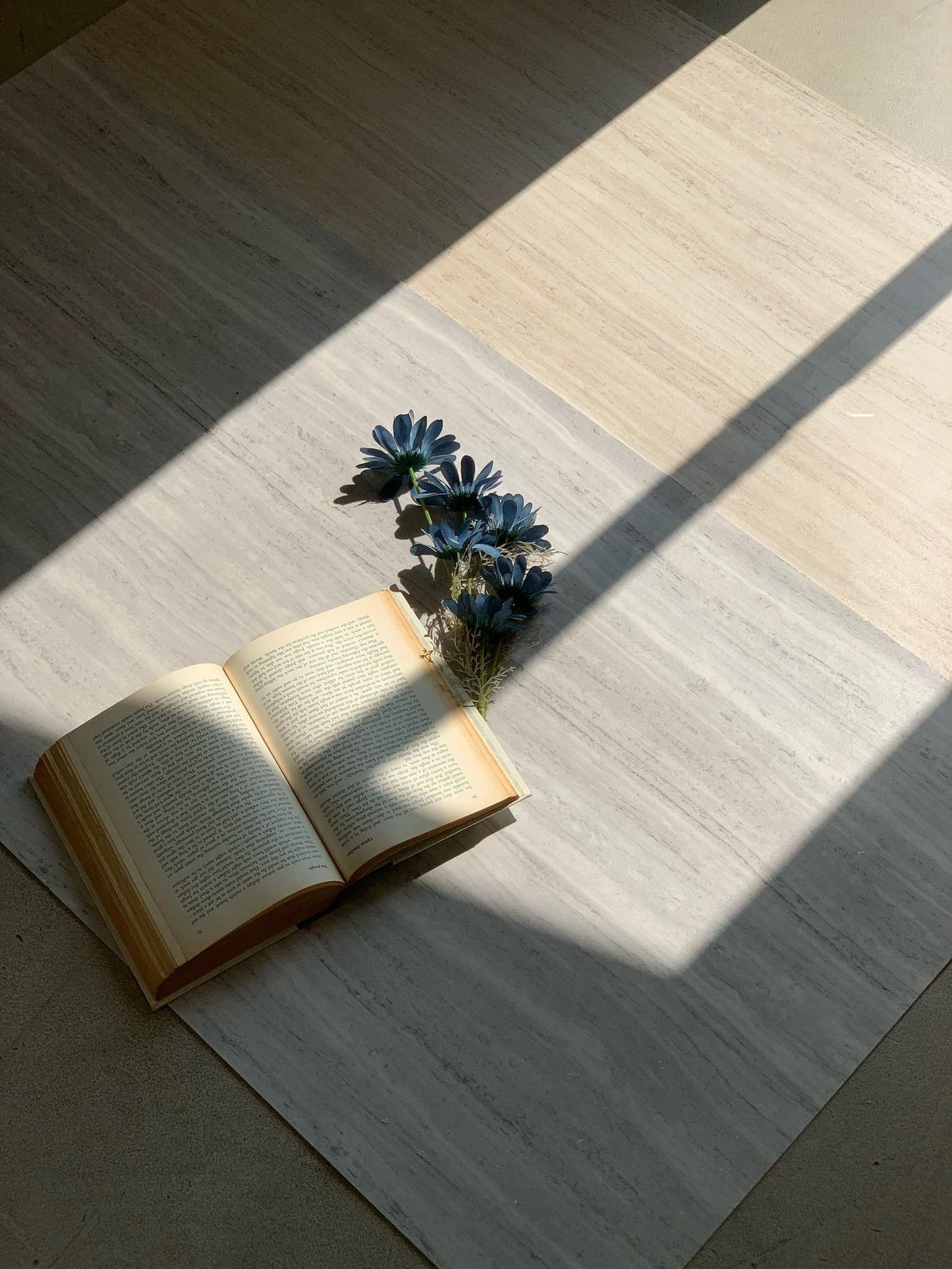 Italian Wood Travertine