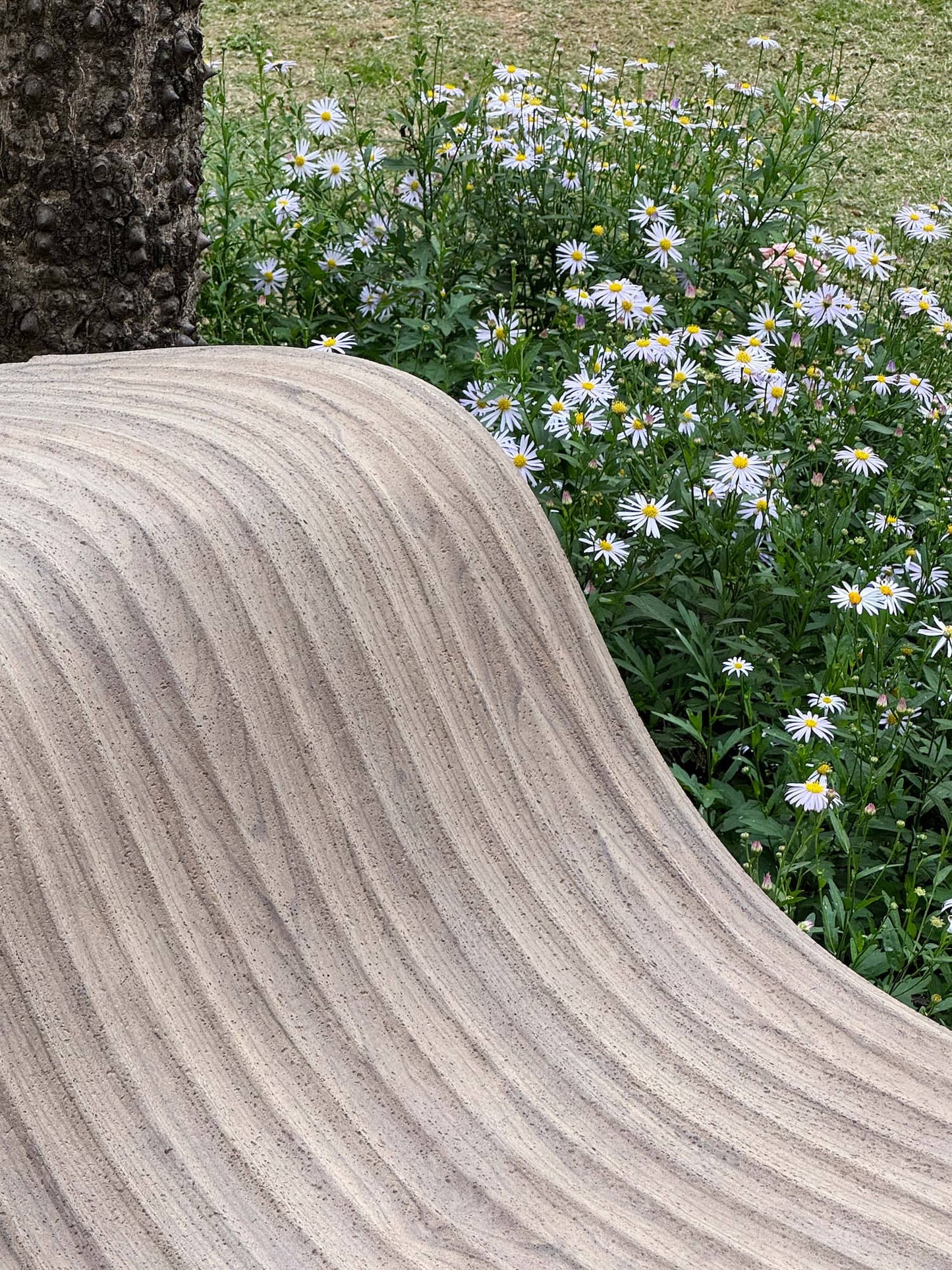 Wood Ripple